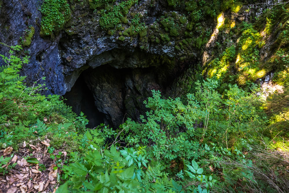 Cave Entrance